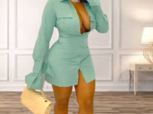 Tiana Teal Shirt Dress